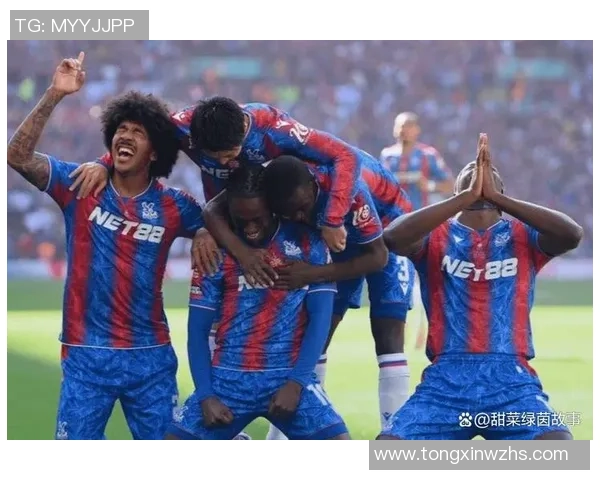 曼城足球明星的辉煌历程与成就解析，见证绿茵场上的传奇瞬间