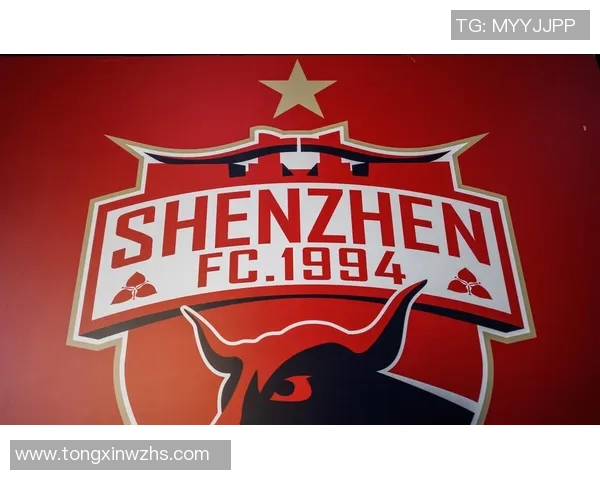 深圳排球队状态分析：聚焦球队表现与未来发展方向